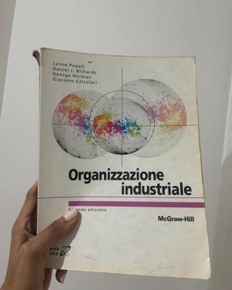 Organizzazione industriale