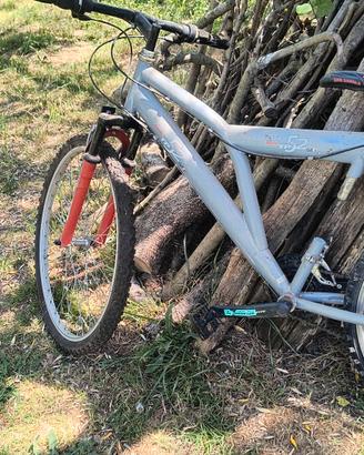 bicicletta Mountain bike da sistemare
