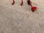 Immagine 25
