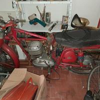 Motocicletta d'epoca MONDIAL Champion 125 Sport