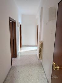 Appartamento 4 vani abitabile