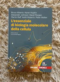 Lessenziale di biologia molecolare della cellula