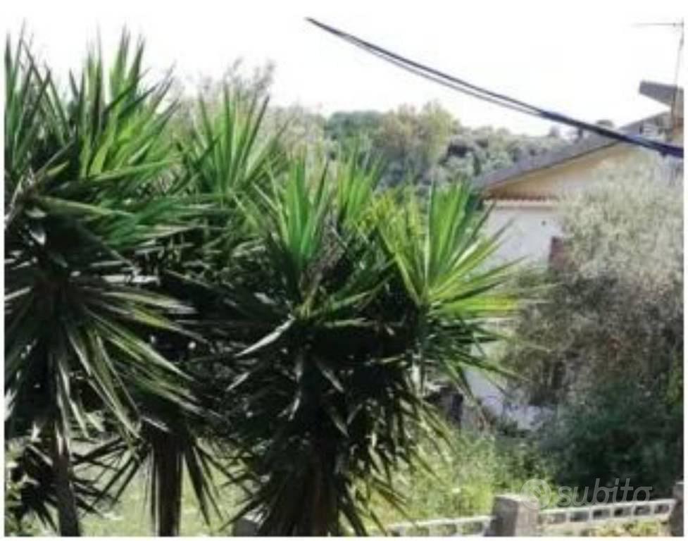 Immobile in asta di 1382 m² a Villafranca Tirrena - Vista 3