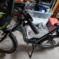 bici elettrica Olympia EnerGo 