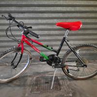 MTB 24