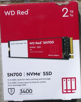 SSD 2TB WD Red SN700 Western Digital M.2 NVMe NAS