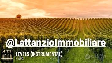 2.5 spalliera primitivo