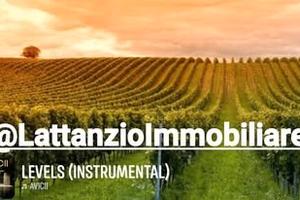 2.5 spalliera primitivo