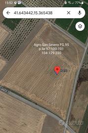 Terreno agricolo