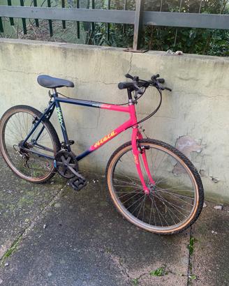 Mountain bike