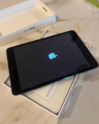 Mini iPad Gen 1 64 GB
