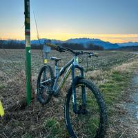 Specialized stumpjumper