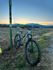 Specialized stumpjumper