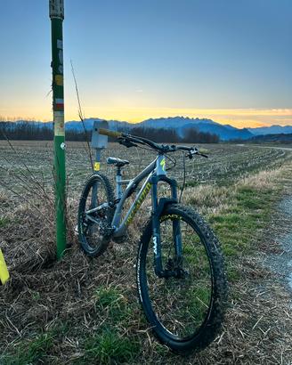 Specialized stumpjumper