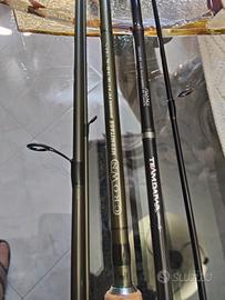 canne da pesca a spinning Daiwa e crown Hermitage 