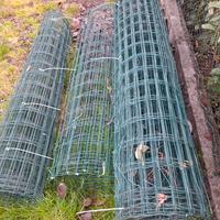 rete da recinzione, zincata rivestita in pvc. 