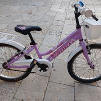 bicicletta euro 45