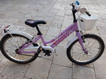 bicicletta euro 45