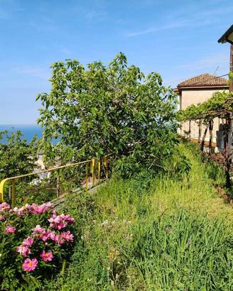 Villa di 208 m² con 5 locali a Trieste