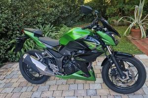 Kawasaki z300