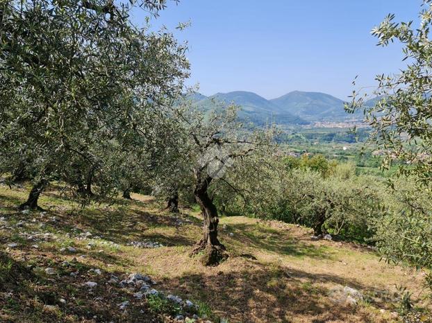 TER. AGRICOLO A SANT'AGATA DE' GOTI