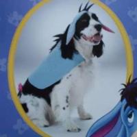 costume Iooh Winnie the Pooh per cane Disney