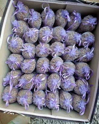 Sacchetti di lavanda purissima