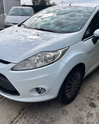 Ford Fiesta 1.2 82 CV 5 porte Titanium