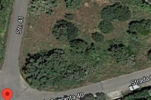 Poggio dei pini terreno 1120 mq