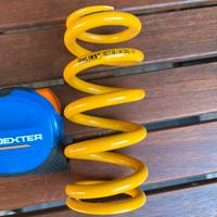 Molla Ohlins