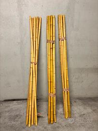 Canne di bamboo