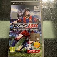 PES 2011/PES 2013