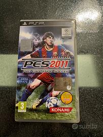 PES 2011/PES 2013
