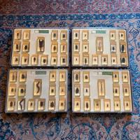 Collezione Veri insetti completa