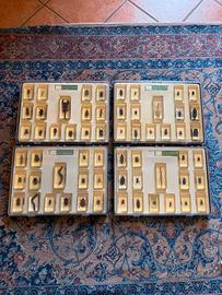 Collezione Veri insetti completa