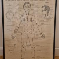 Poster originale per la formazione nello Shiatsu