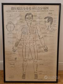 Poster originale per la formazione nello Shiatsu