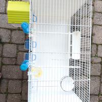 Gabbie per uccelli