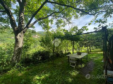 TER. AGRICOLO A SANT'OLCESE