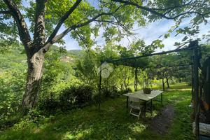 TER. AGRICOLO A SANT'OLCESE