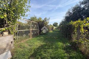 TER. AGRICOLO A CIAMPINO
