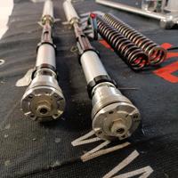 ohlins fgk 205 Kawasaki zx10r 