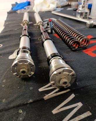 ohlins fgk 205 Kawasaki zx10r 