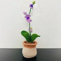 Vaso di orchidee in uncinetto
