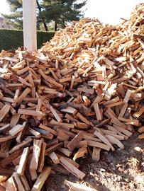 legna da ardere secca 