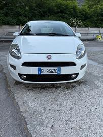 Punto evo 1.3 multijet