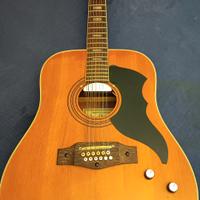 Eko Ranger 12 EL vintage