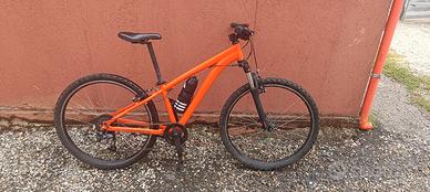 bicicletta 