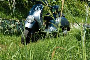 Vespa sei giorni