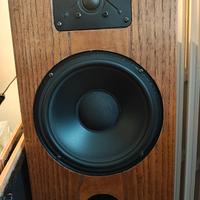 diffusori hi fi progetto Coral/peerless